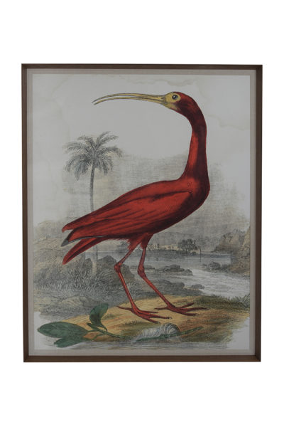 Red bird in flight, painted with attention to detail, framed within a distressed brown frame.