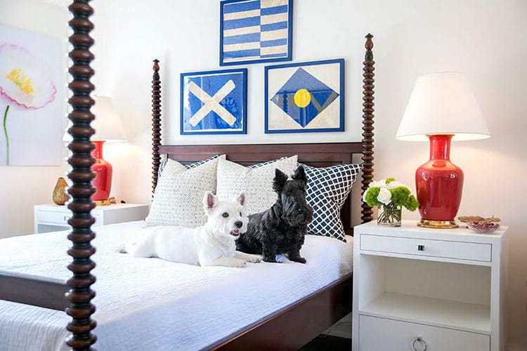 A large white dog sitting on a bed with a red and white vase a blue and white flag hanging above it
