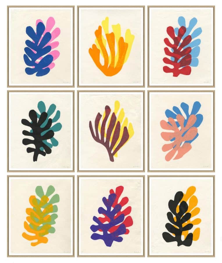A collage of five framed prints showcasing a variety of coral arrangements each with a distinct color palette and style of presentation