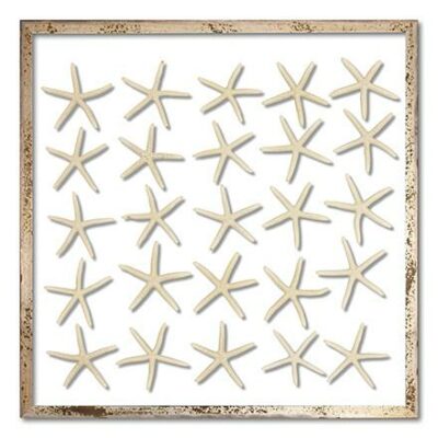 A framed display of floating starfish on a wall with clear glass and a silver acid wood frame.