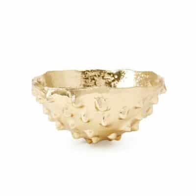 Large, polished brass bowl with a textured surface and a gold finish.