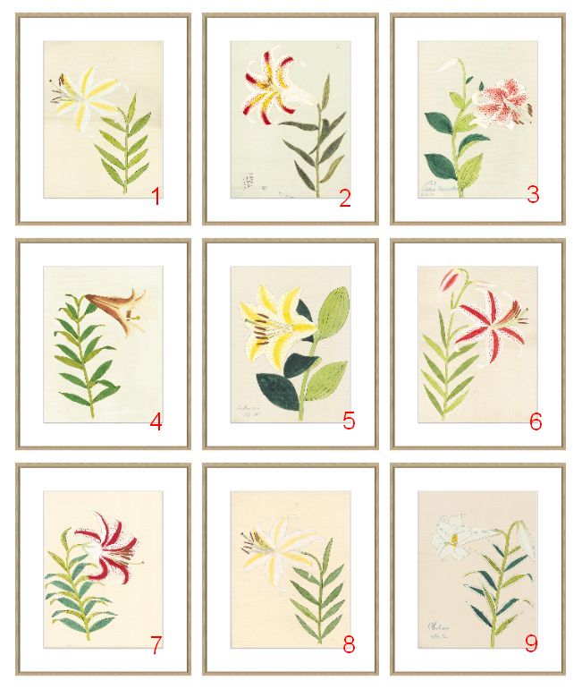 Nine numbered lily prints in oak frames, showcasing assorted floral artwork