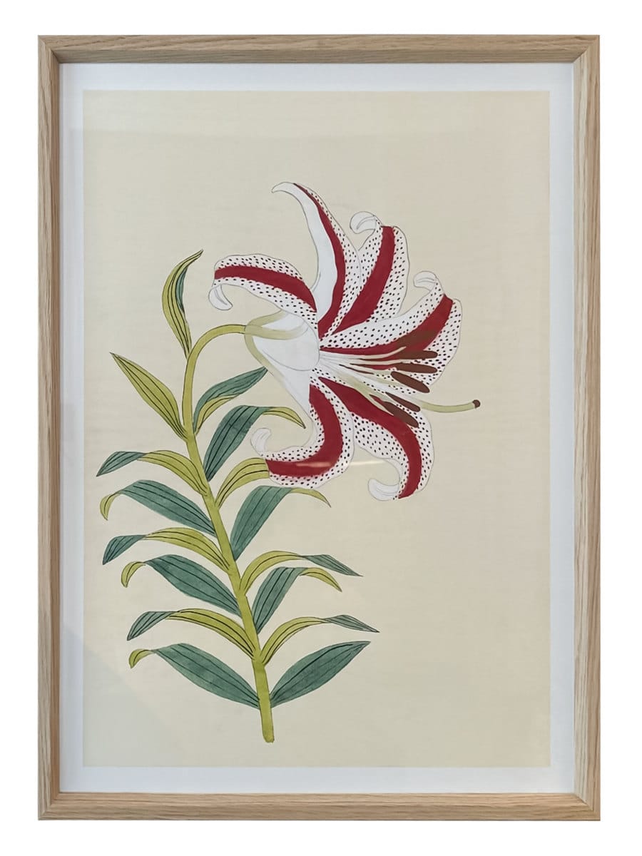 Close-up of vibrant red lily reproduction print encased in an elegant oak frame, showcasing intricate details.