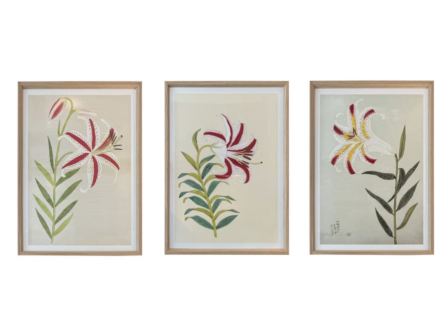Assorted Coloured Lilies Reproduction Prints in Oak Frames, Displaying Nine Different Images, Numbered in Last Frame for Ordering