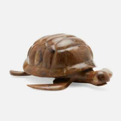 Handcrafted tortoise object, brown pen shell, natural material variation.
