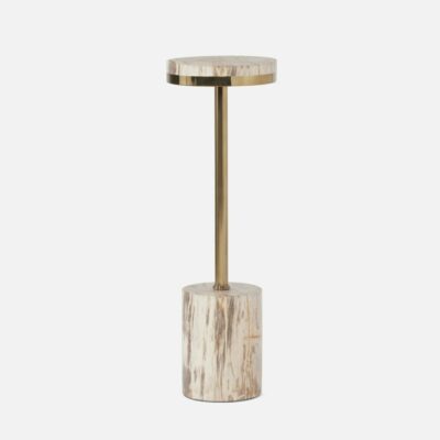 Petrified Wood Side Table