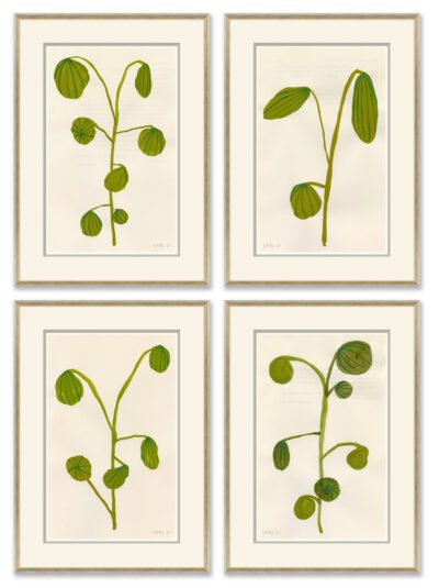 Fruity Botanical Print