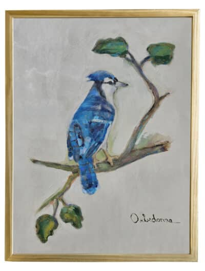 Bluejay perched on oak branch, original art by Orbedonna, framed acrylic on canvas.