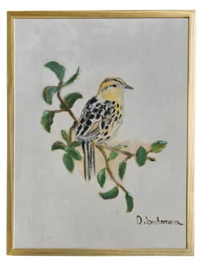 Hand-painted sparrow on camellia, framed in gold.