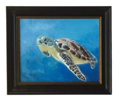 Sea Turtle Art in Black Frame