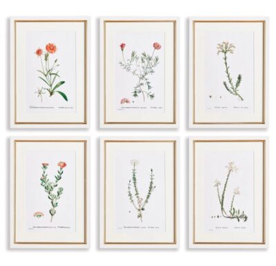 Set of six elegant flower prints in soft blush frames, showcasing botanical beauty in white wood frames with subtle gold accents.