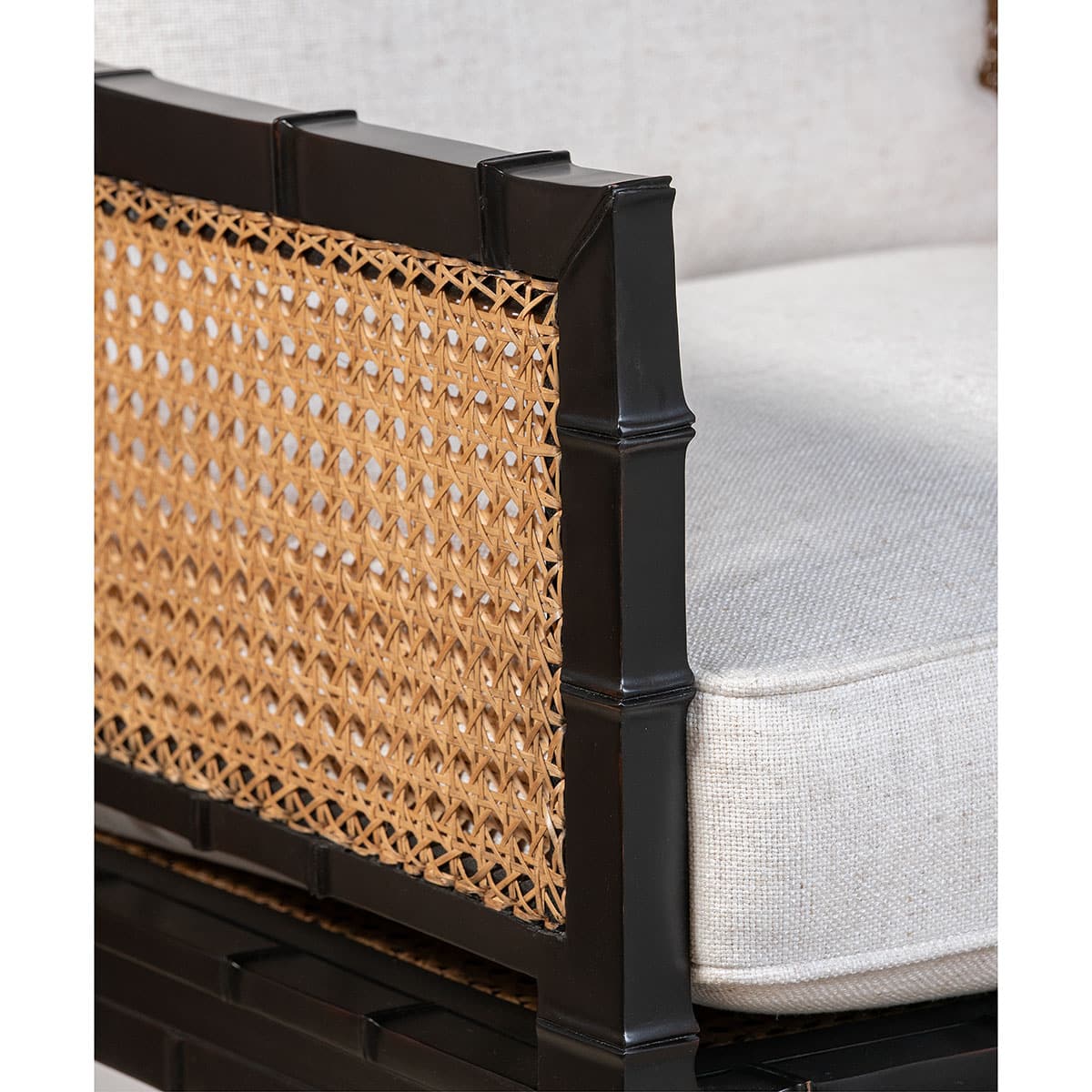 Close-up of Beau Black Mahogany Chair with Double Caned Frame and Upholstered Cushion, Houston Pricing Available