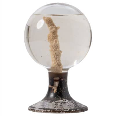 Antique French glass globe with coral specimen on vintage aged round metal base.