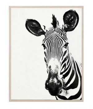 Black and white zebra photograph in acrylic frame on linen background